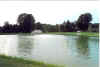 pond 2 in summer.jpg (144143 bytes)