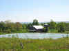 st johnsville pond 4.jpg (34245 bytes)